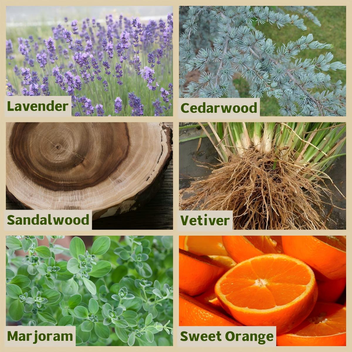 EssLive Deep Sleep Essential Oil