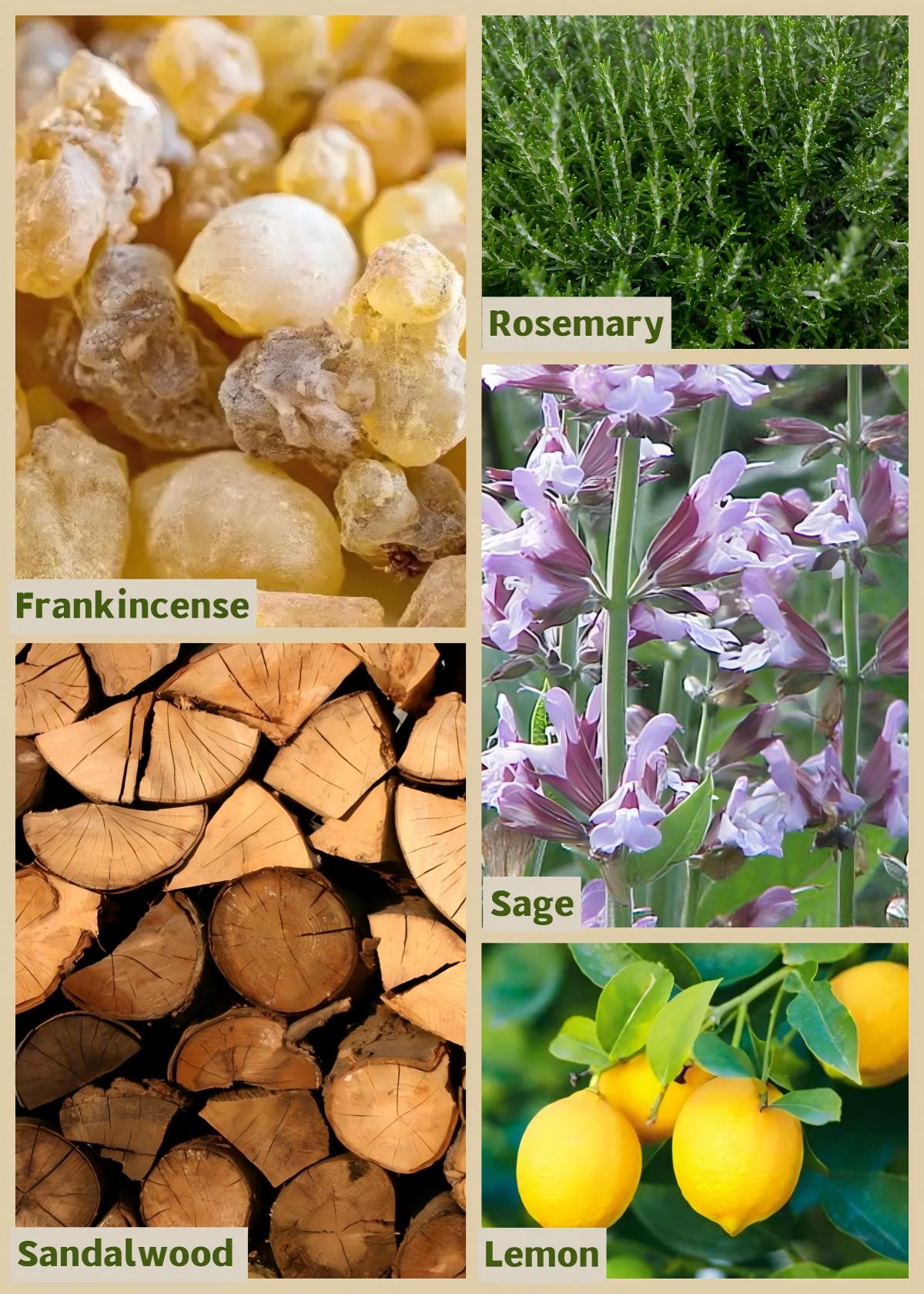 I SEE Third Eye Chakra Essential Oil Blend