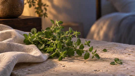 Sweet Marjoram Essential Oil for Sleep: Benefits & Research