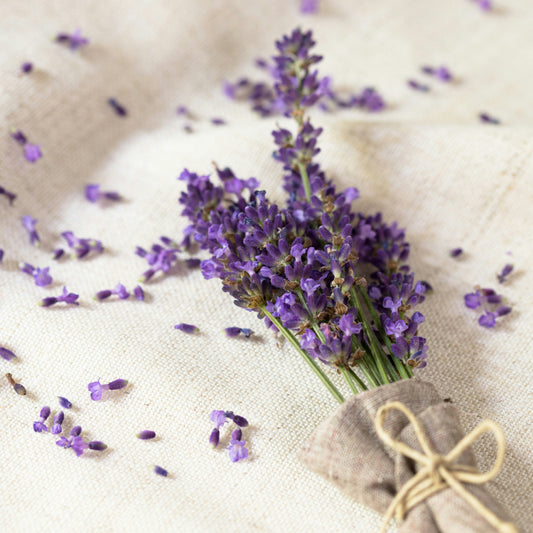 True Lavender Essential Oil: What It Actually Does (A Pharmacist's Honest Guide)