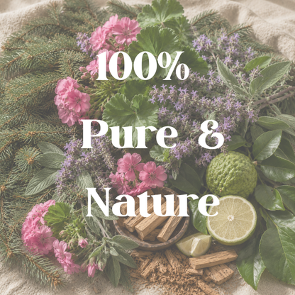 Nature Shea Butter Hand Cream | Santal Clam