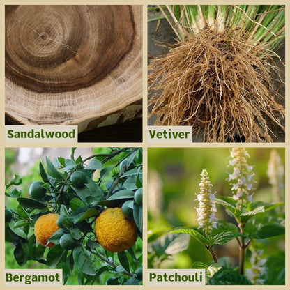 I AM Root Chakra Essential Oil Blend