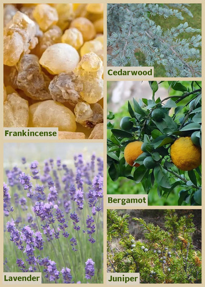 I UNDERSTAND Crown Chakra Essential Oil Blend