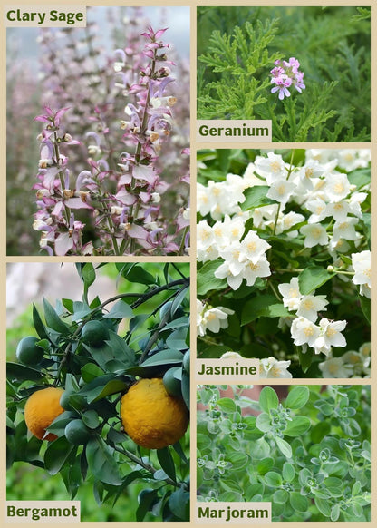 I LOVE Heart Chakra Essential Oil Blend